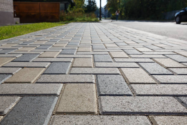 Best Professional Driveway Pavers  in Live Oak, FL